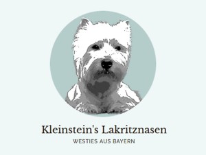Kleinstein's Lakritznasen - Westies aus Bayern